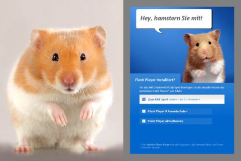 Hamster