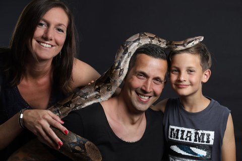 Boa constrictor als Filmtier