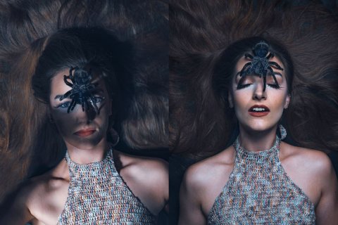 filmspinne katharina aus der filmtierzentrale