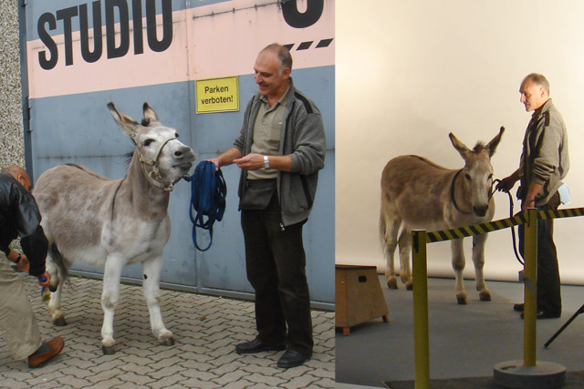 Es stehen verschiedene Esel für Filmproduktionen und Fotoproduktionen zur Verfügung.

Referenz: Werbespot, Werbefotoshooting, diverse Tierevents