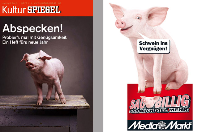 Ferkel brauchen ein Vortraining bevor sie vor der Kamera agieren können.

Referenzen: Media-Markt-Kampagne, Werbespots und Fotoshootings, diverse weitere Referenzen