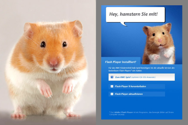 Hamster werden recht häufig als Filmtiere eingesetzt. Ein Hamster lässt sich allerdings nicht so gut trainieren wie z.B. eine Ratte. Deshalb ist nicht alles real gedreht, was in Werbespots für Staubsauger, Energiekonzerne usw. zu sehen ist.