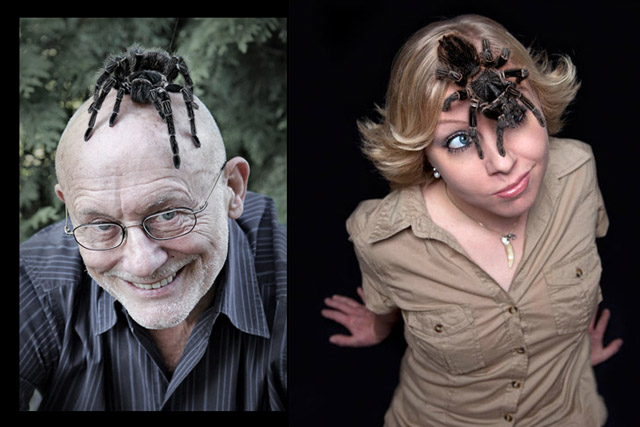 Eine Vogelspinne auf dem Kopf von Schauspielern